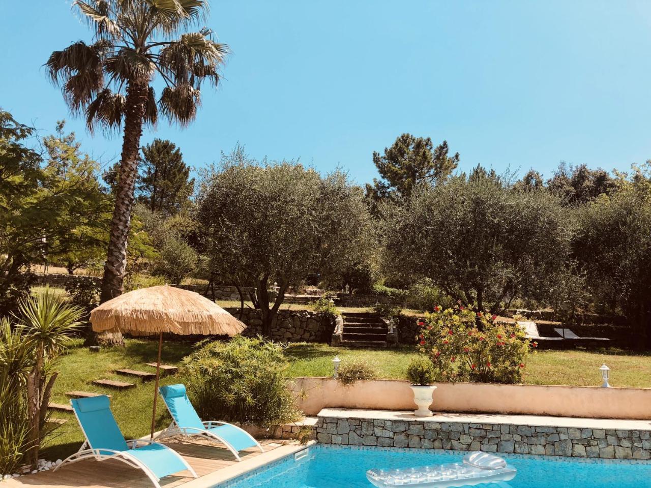 Maison De Vacances Villa Cardabella Le Tignet Exterior foto